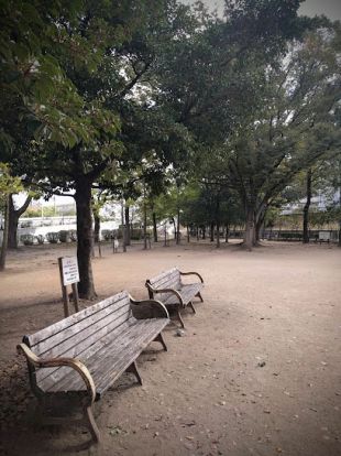 広芝公園の画像
