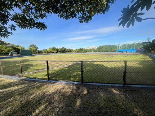 高洲中央公園 野球場の画像