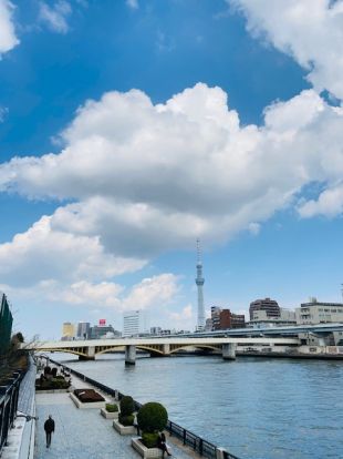 マンション裏の隅田川の画像