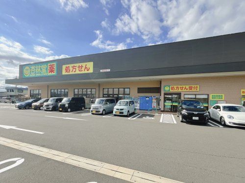 杏林堂ドラッグストア 焼津大住店の画像