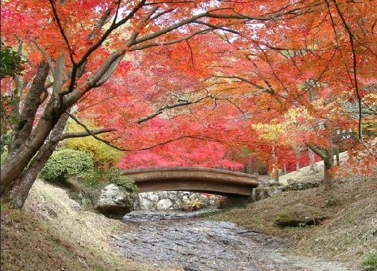 東山公園の画像