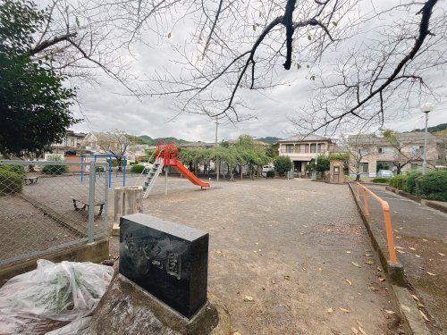 清水公園の画像