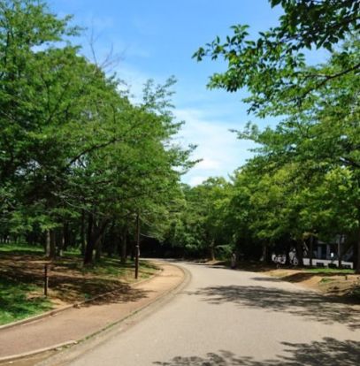 青葉の森公園野球場の画像