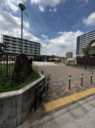 亀島ふれあい公園の画像