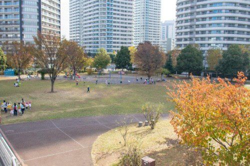 高島中央公園の画像