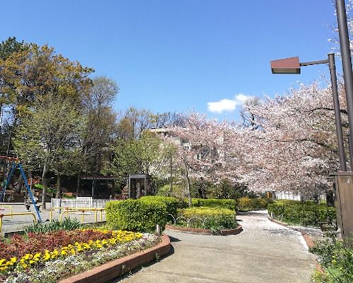 世田谷区立蛇崩川緑道の画像