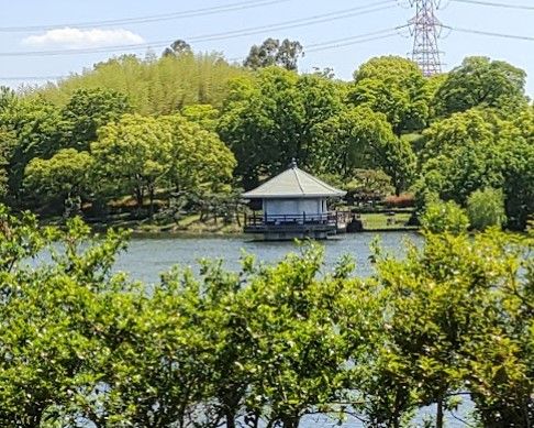 山田池公園の画像