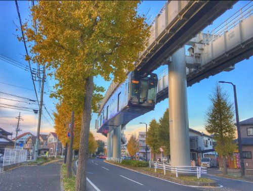 桜木(千葉県)の画像