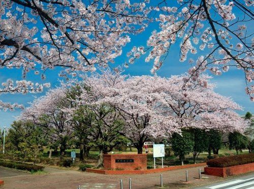 早稲田公園の画像