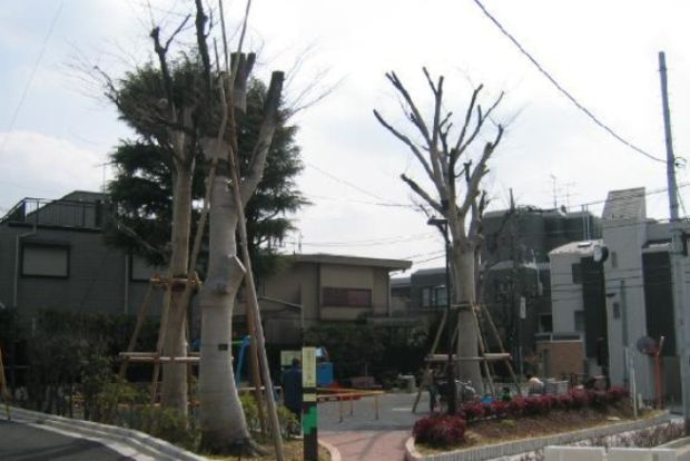 経堂けやき公園の画像