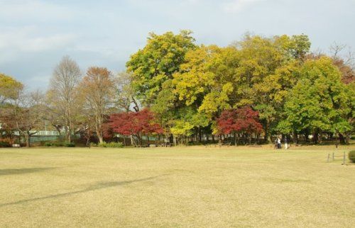 小田野中央公園の画像