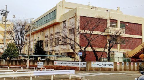 川口市立十二月田小学校の画像