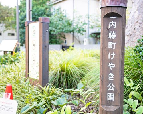 新宿区立 内藤町けやき公園の画像