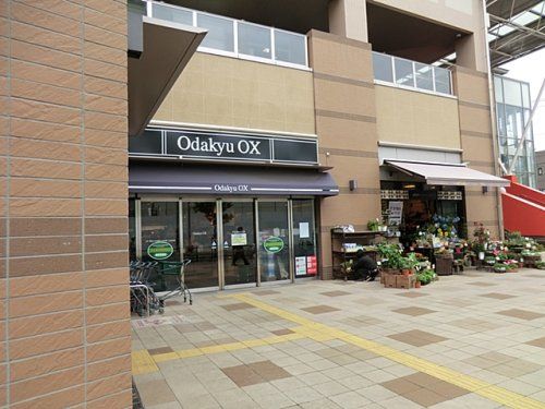 OdakyuOX相模原店の画像