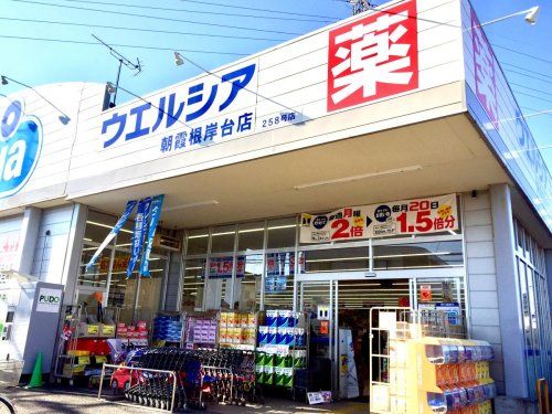 ウエルシア朝霞根岸台店の画像