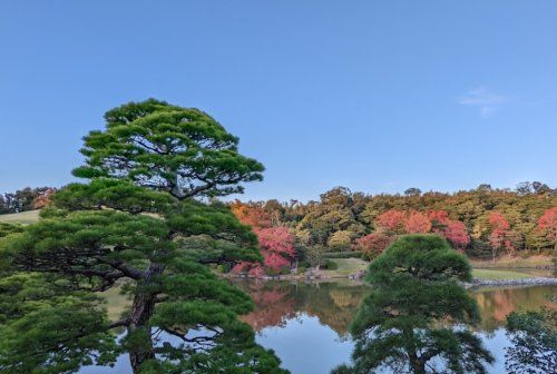 万博記念公園 日本庭園の画像