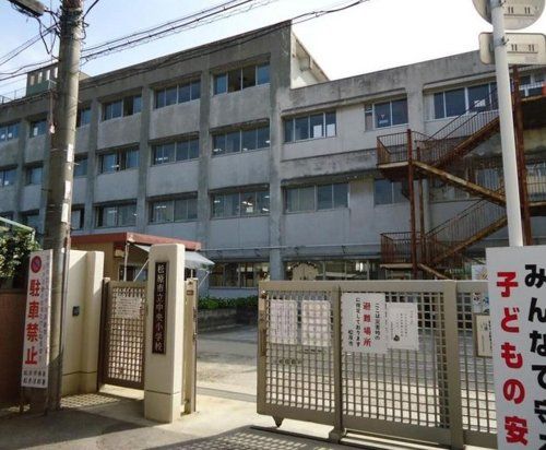 松原市立中央小学校の画像