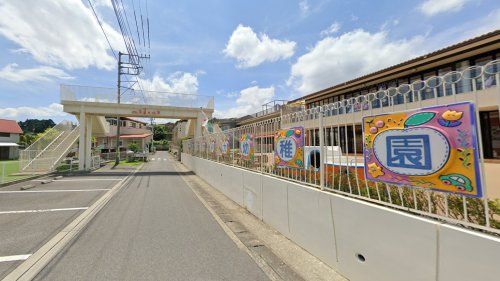 認定こども園中央マドカ幼稚園の画像