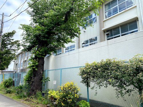 横浜市立田奈中学校の画像