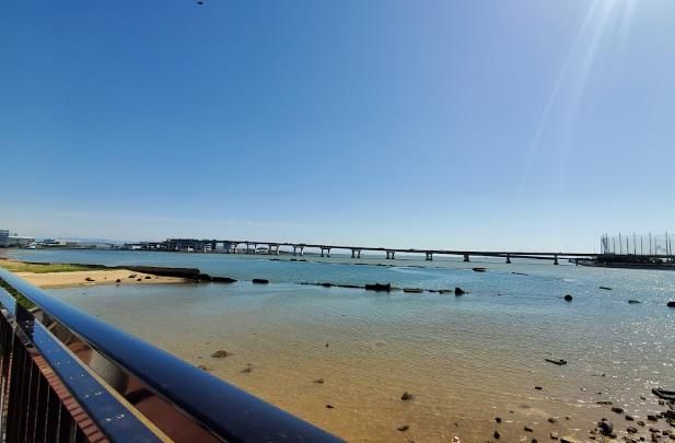 甲子園浜海浜公園の画像