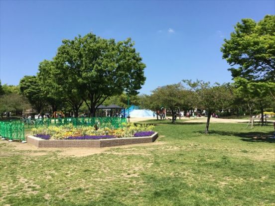 八幡屋公園の画像