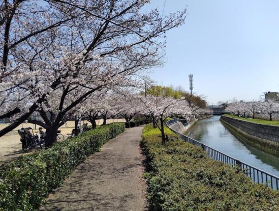 津門中央公園の画像