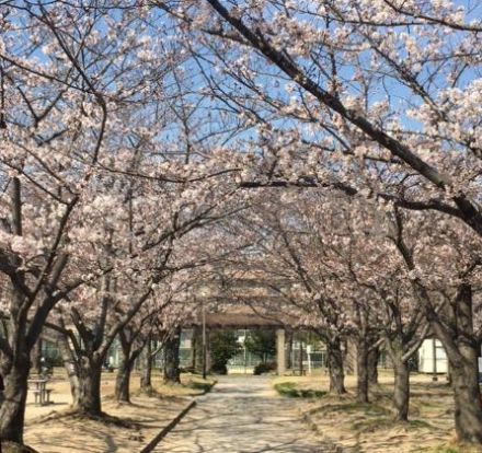 浜戎公園の画像