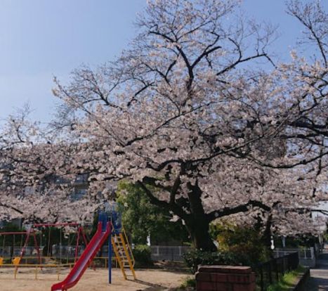 東三公園の画像