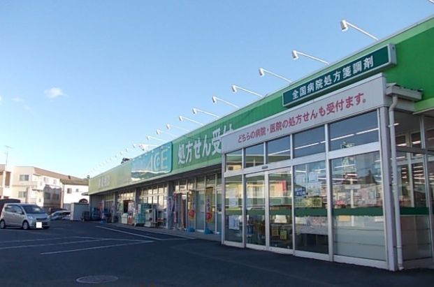 ドラッグ・エース箭弓町店の画像