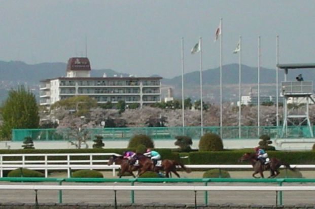 阪神競馬場の画像