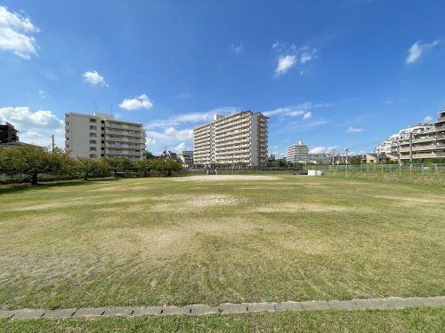 女牛池公園の画像