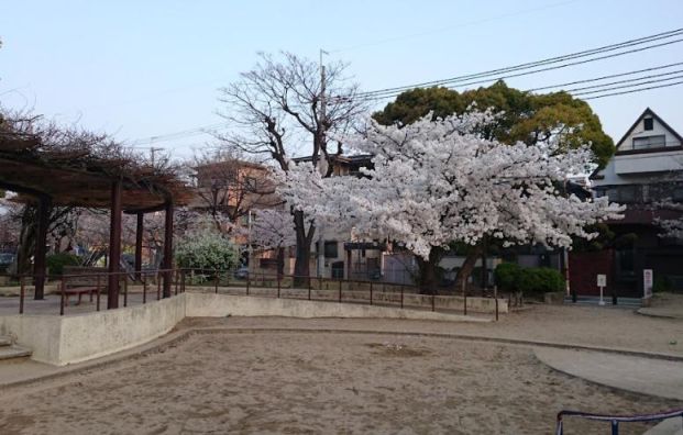 御代開公園の画像