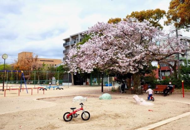 二見公園の画像