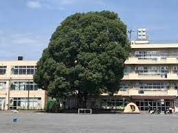 町田市立忠生小学校の画像