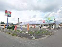 ウェルパーク相模原淵野辺店の画像