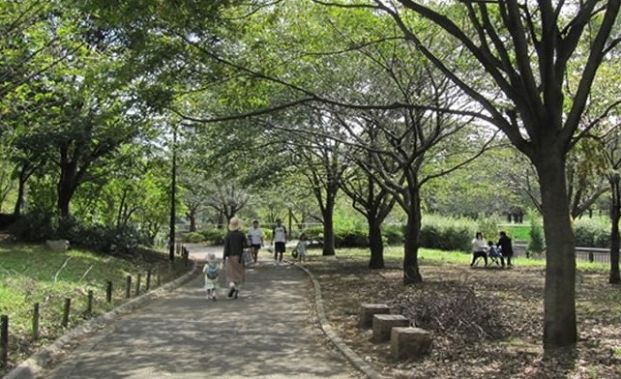 上祖師谷小緑地の画像