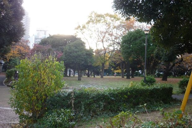 神奈川公園の画像