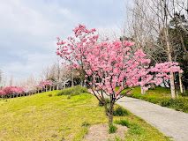 山田ふれあい緑地の画像