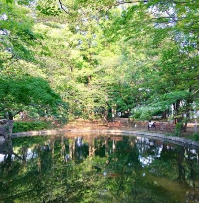 馬橋公園運動広場四季の広場の画像