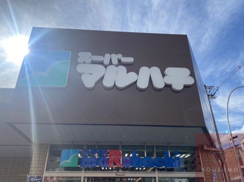 スーパーマルハチ野中北店の画像