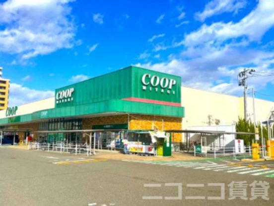 COOP MIYAGI(コープ ミヤギ) みやぎ生協 岩切店の画像