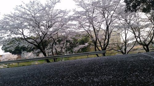 みやの台公園の画像