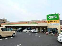 マツモトキヨシ 薬円台店の画像