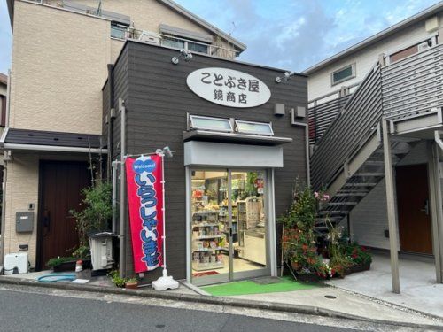 寿屋鏡商店の画像