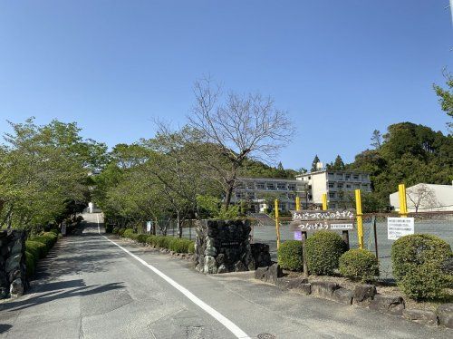 浜松市立光明小学校の画像