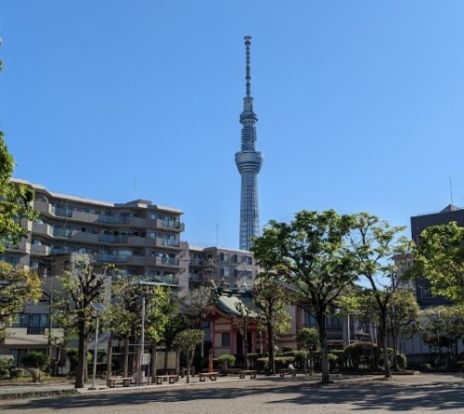 若宮公園の画像