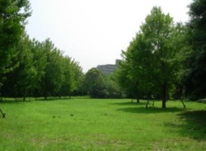 千里北公園の画像