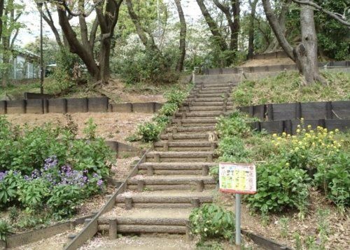 天王山自然公園の画像