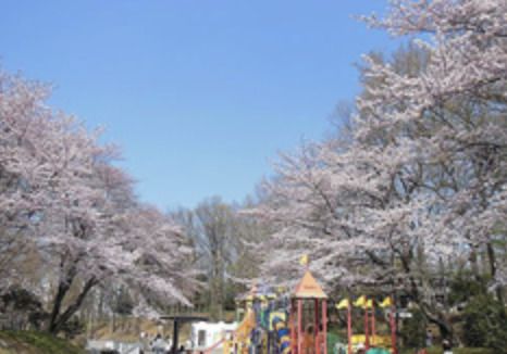 北本市子供公園の画像