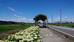 騎西中央公園の画像